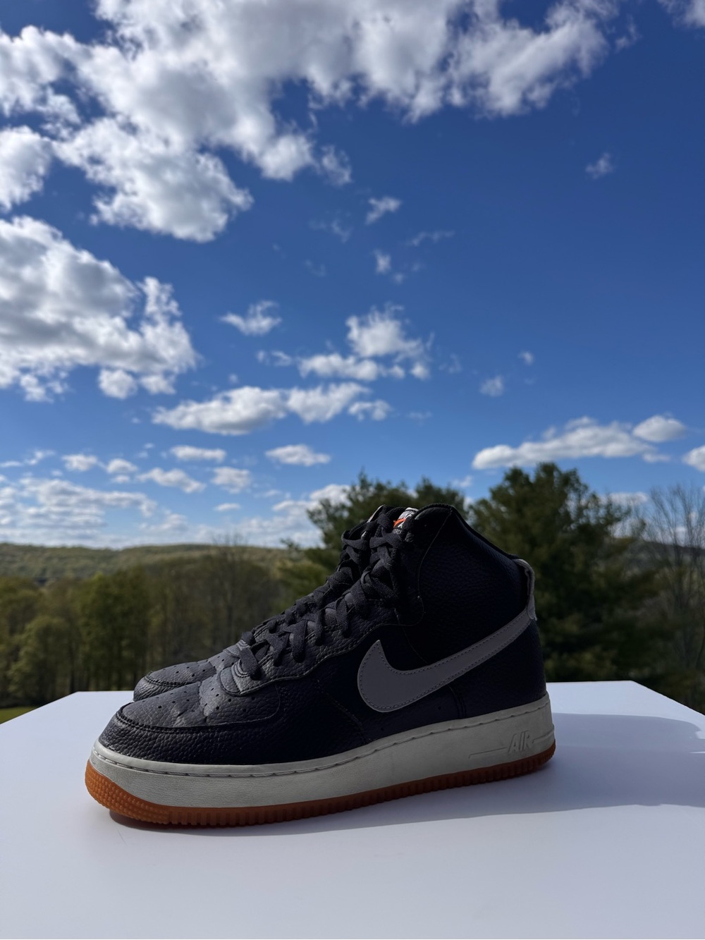 Nike Air Force 1 High Black Grey Gum Men’s Size 10